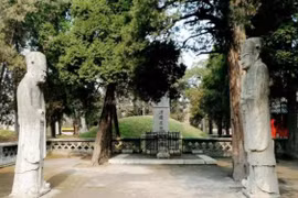 Vì sao mộ Khổng Tử 'quạ không đậu, rắn và chuột không xâm chiếm'?