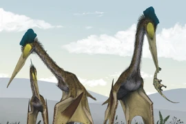 Khiếp đảm loài vật lớn nhất từng bay trên trời