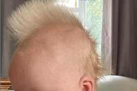 Cậu bé 10 tuần tuổi bất ngờ nổi tiếng khắp MXH vì mái tóc quá đỉnh 