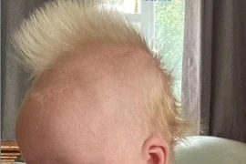 Cậu bé 10 tuần tuổi bất ngờ nổi tiếng khắp MXH vì mái tóc quá đỉnh 