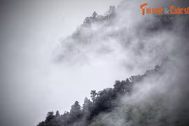 Giải mã chuyện liêu trai bí ẩn trên đèo Bảo Lộc