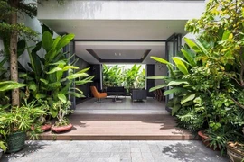 5 loại cây trồng trước nhà nghèo khổ, trồng sau nhà thì giàu có