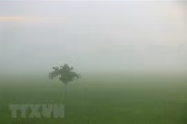 Bắc Bộ vẫn còn rét, sáng sớm có sương mù, trưa chiều hửng nắng