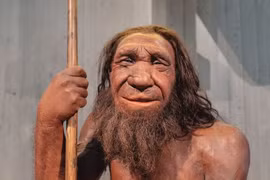 Nếu người Neanderthal tồn tại đến ngày nay, chuyện kỳ lạ gì sẽ xảy ra? 