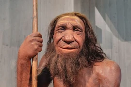 Nếu người Neanderthal tồn tại đến ngày nay, chuyện kỳ lạ gì sẽ xảy ra? 