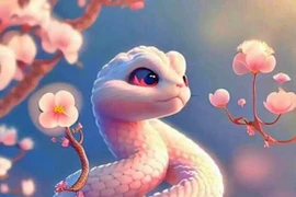 Ất Tỵ 2025 có phải là năm nhuận?