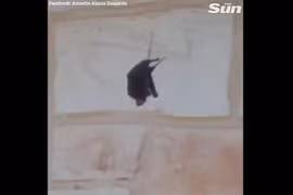 Mở cửa chuẩn bị đi làm, người phụ nữ nhìn thấy cảnh tượng nổi da gà