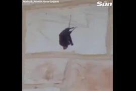 Mở cửa chuẩn bị đi làm, người phụ nữ nhìn thấy cảnh tượng nổi da gà