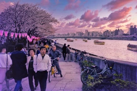 Ảnh khó quên về cuộc sống ở Tokyo năm 1990 của phó nháy Tây (1)