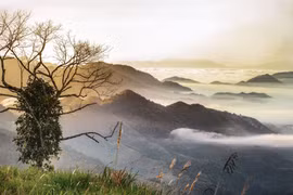 Ngân hàng đón đầu cơ hội cấp tín dụng cho các dự án xanh