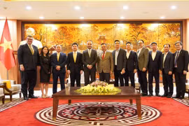 Tổ hợp thể thao, giải trí 4,5 tỷ USD của T&T sẽ vận hành năm 2028