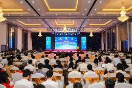 Diễn đàn “Chiến lược dữ liệu cho phát triển AI & chuyển đổi số”