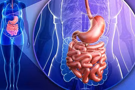 Muốn lọc sạch cặn bã trong ruột, ăn những món này vào buổi sáng 