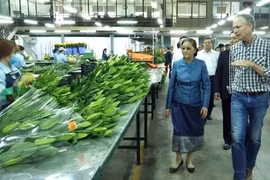 Chủ tịch Quốc hội Lào thăm và làm việc tại Lâm Đồng