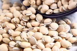 Đầu mùa thu, thêm thứ này vào cháo bệnh tật sẽ tránh xa