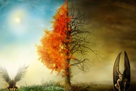 Angelina Jolie và Brad Pitt ly hôn: Chỉ là quả báo?