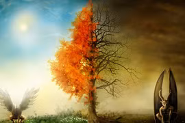 Angelina Jolie và Brad Pitt ly hôn: Chỉ là quả báo?