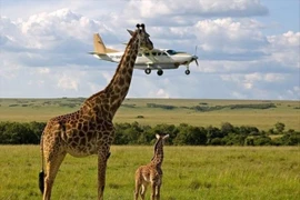 Những bức ảnh kỳ lạ khiến dân mạng thế giới há hốc mồm