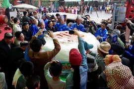 TP Sầm Sơn đề nghị làm bánh giầy kỷ lục dâng vua Hùng