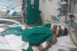 Cảnh báo: Bệnh liên cầu khuẩn từ lợn sang người đang bùng phát