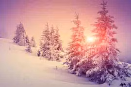 10 thực phẩm cho tinh thần ngày Đông thêm phấn chấn