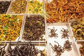 Kinh dị: Ăn côn trùng, máu và não để... cứu thế giới