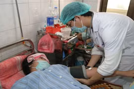 HN: Đã có hơn 700 trường hợp mắc sốt xuất huyết