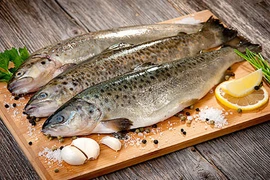 Cá đông lạnh có đảm bảo giá trị dinh dưỡng và an toàn?