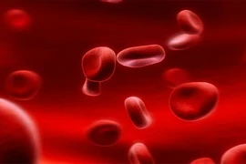 8 loại bệnh về máu bạn không thể bỏ qua