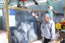 Bí ẩn câu chuyện cá voi cứu người ở Bến Tre