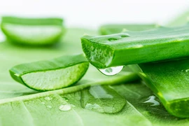 Mẹo vặt khắc phục tức thì các vấn đề trong nắng nóng 