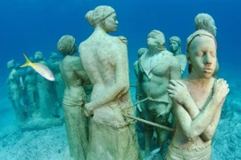 Kinh ngạc những chốn ma mị dưới đáy đại dương 