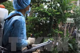 Thành phố Hồ Chí Minh họp khẩn về diễn biến dịch Zika trên địa bàn