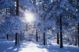 Làm thế nào kìm hãm cơn thèm ăn, chống béo phi trong mùa Đông