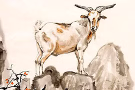 Tử vi ngày 22/9 của 12 con giáp: Mùi hưởng ân điển của trời đất, tiền bất ngờ rơi vào túi