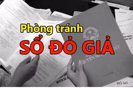 Sổ đỏ giả tràn lan, chính quyền Đà Nẵng ra cảnh báo đến người dân
