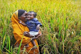 Loạt hình xúc động về yêu thương khiến triệu trái tim tan chảy