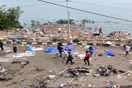 Hãi hùng cảnh tượng sau động đất-sóng thần ở Indonesia, 30 người chết