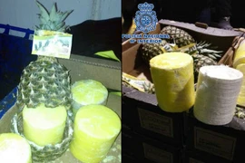 Những thủ đoạn giấu ma túy tinh vi bị vạch trần