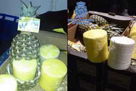 Những thủ đoạn giấu ma túy tinh vi bị vạch trần