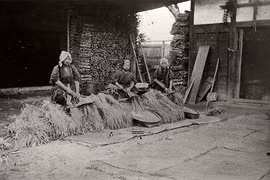 Hé lộ cuộc sống ở Nhật Bản trong thời đại Minh Trị 