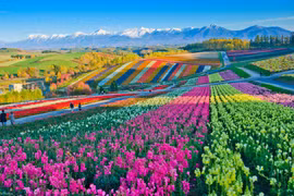 Choáng ngợp những địa điểm “sặc sỡ” nhất hành tinh