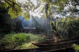 Cuộc sống của thợ săn thú rừng “bán thời gian” ở Congo