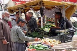 Cuộc sống tại những khu vực mới giải phóng ở Tây Mosul