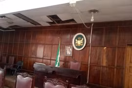 Phiên họp của nghị sĩ Nigeria hỗn loạn vì...rắn
