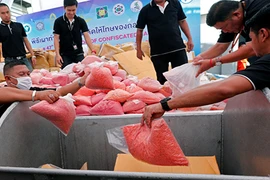 Tiêu hủy ma túy trị giá 1 tỷ USD ở Đông Nam Á