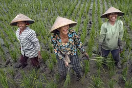 Ấm lòng những khoảnh khắc hạnh phúc giản dị trong cuộc sống