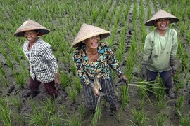 Ấm lòng những khoảnh khắc hạnh phúc giản dị trong cuộc sống