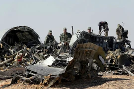 Máy bay Nga rơi ở Ai Cập: Bom gài trong khoang chính?