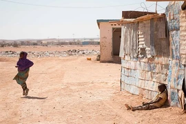 Thêm ảnh về đợt hạn hán kinh hoàng ở Somalia
